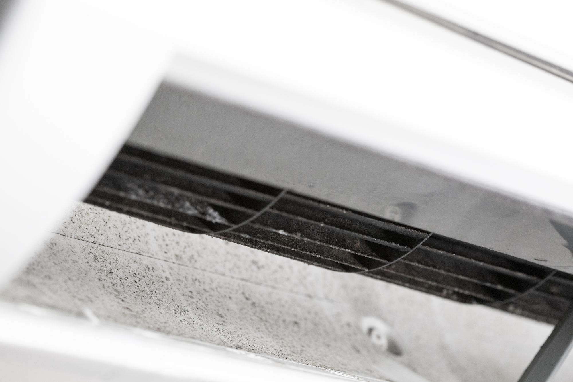 clean隊の紹介写真_1枚目